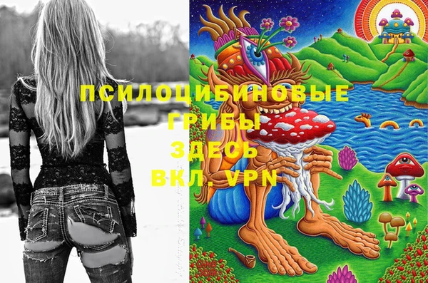 первитин Белокуриха