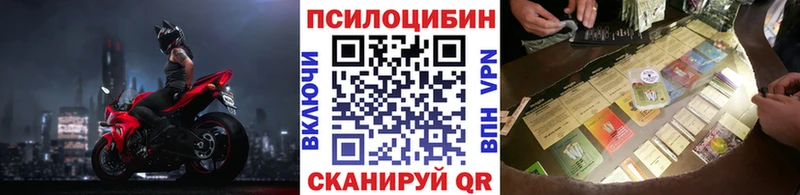 блэк спрут маркетплейс  Володарск  Псилоцибиновые грибы Psilocybe  даркнет сайт 