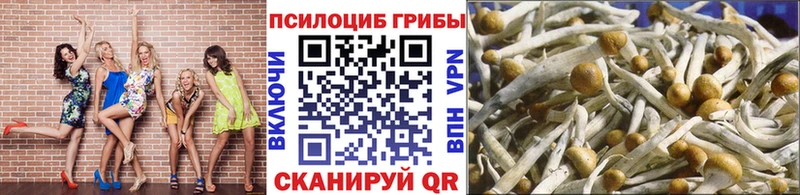 Галлюциногенные грибы мухоморы Володарск