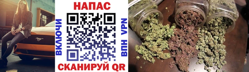 Конопля планчик  Володарск 